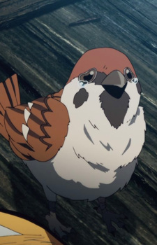 Ukogi