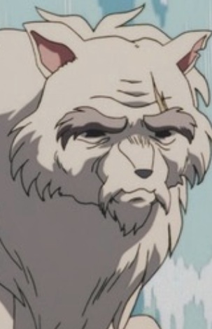 Wolf Elder