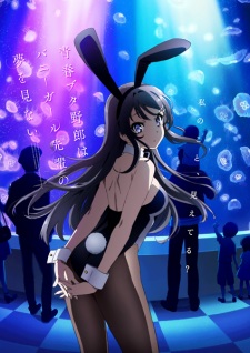 Seishun Buta Yarou wa Bunny Girl Senpai no Yume wo Minai characters