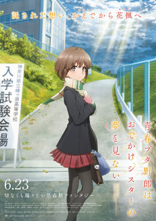 Seishun Buta Yarou wa Odekake Sister no Yume wo Minai characters